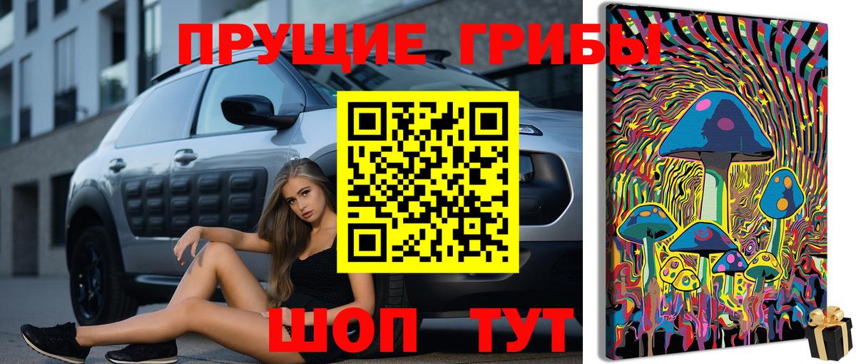 Галлюциногенные грибы прущие грибы  Вход с VPN  Сафоново  Галлюциногенные грибы Magic Shrooms 