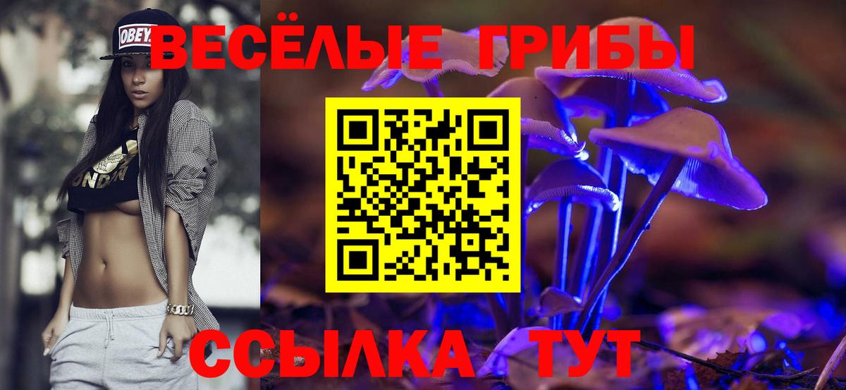 Псилоцибиновые грибы мицелий Сафоново
